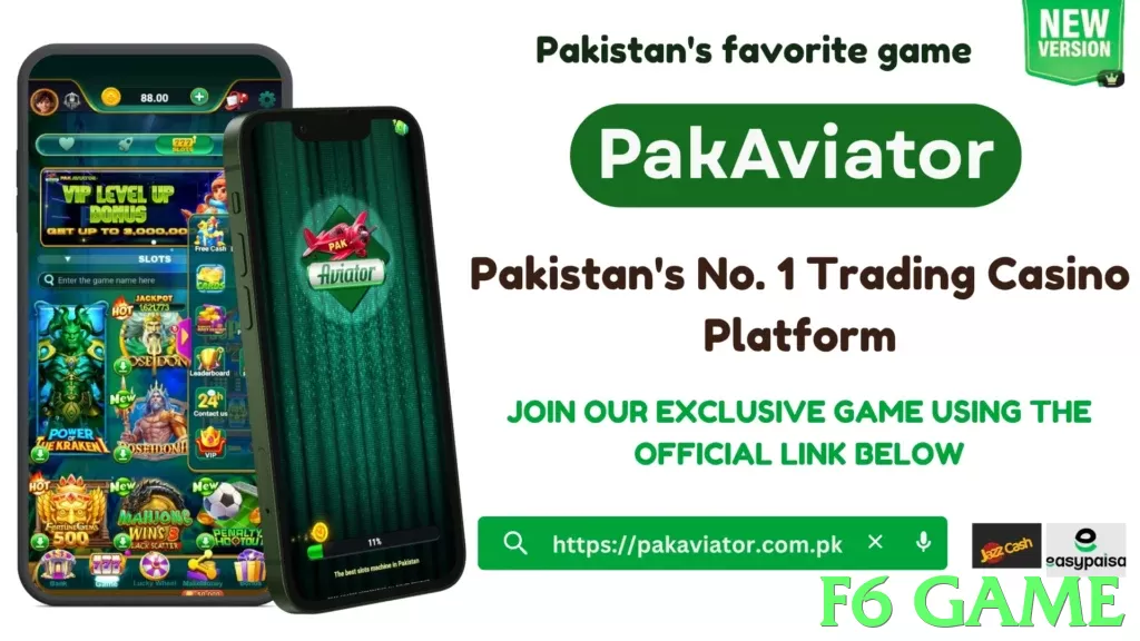 f6 game Pakistan - 3